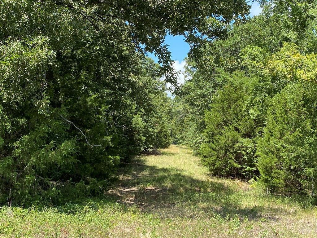 760 COUNTY ROAD 2423