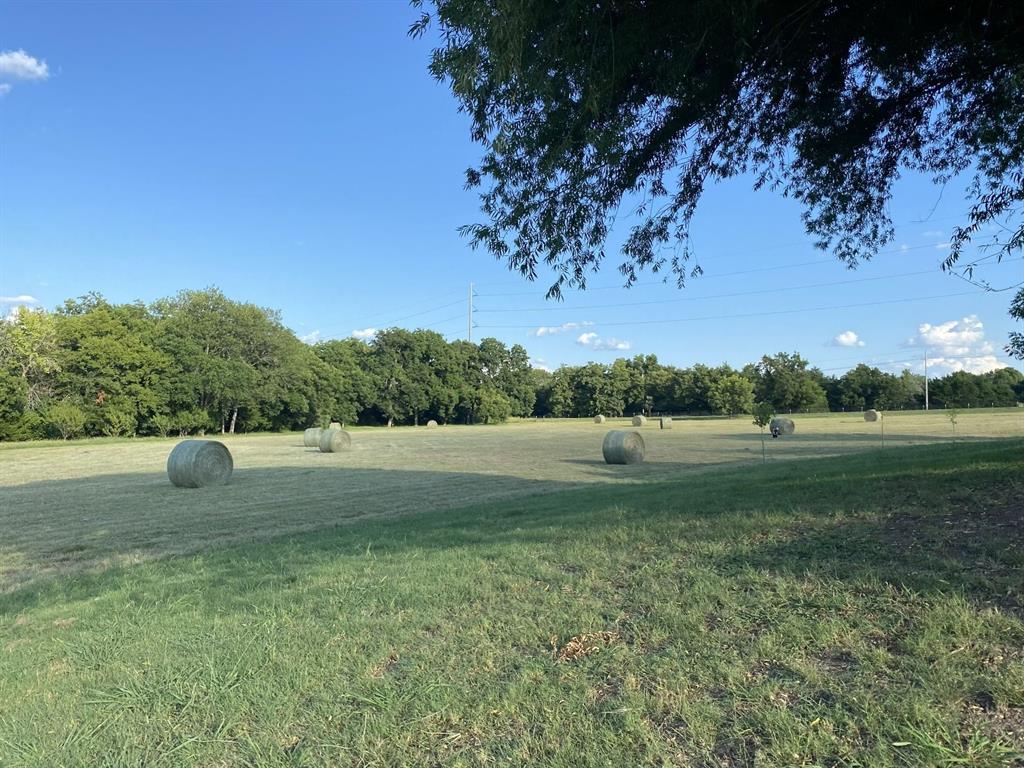 D Van Winkle Survey - Land