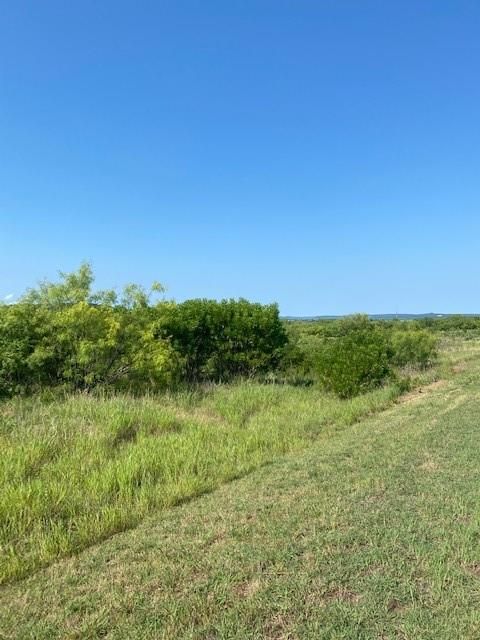 Lot 203 Evening Primrose Drive Possum Kingdom Lake TX 76449