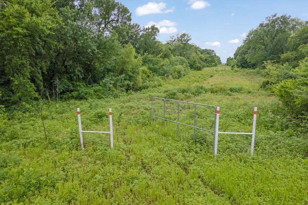 A0179 D Crenshaw, Acres 12.736 - Land