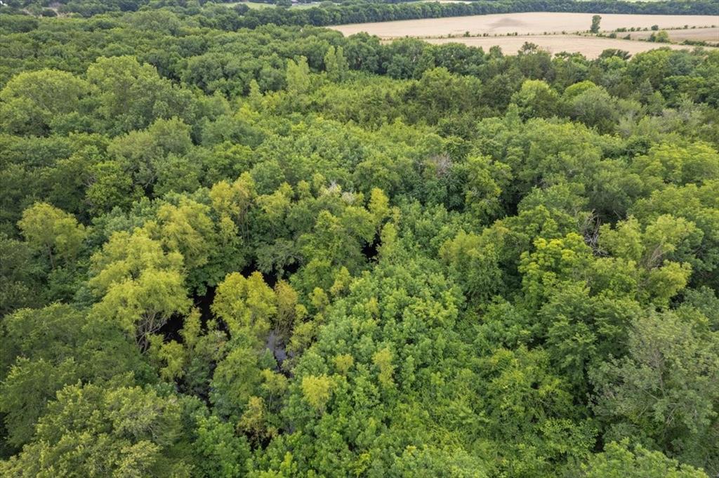 A0179 D Crenshaw, Acres 12.736 - Land