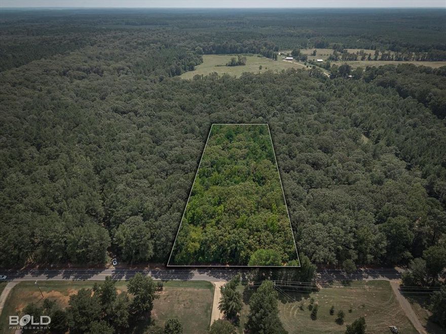 Owner Financing Available on this fabulous 3.7 acre lot in the highly sought after Oliver Hills Subdivision - An absolute HAVEN to build your dream home on! Ready to give your favorite people the Best. Christmas. Gift. Ever?! Call today and let's make this lot yours!