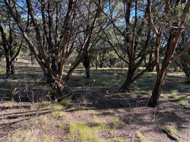 Lot 599 Caprock Court