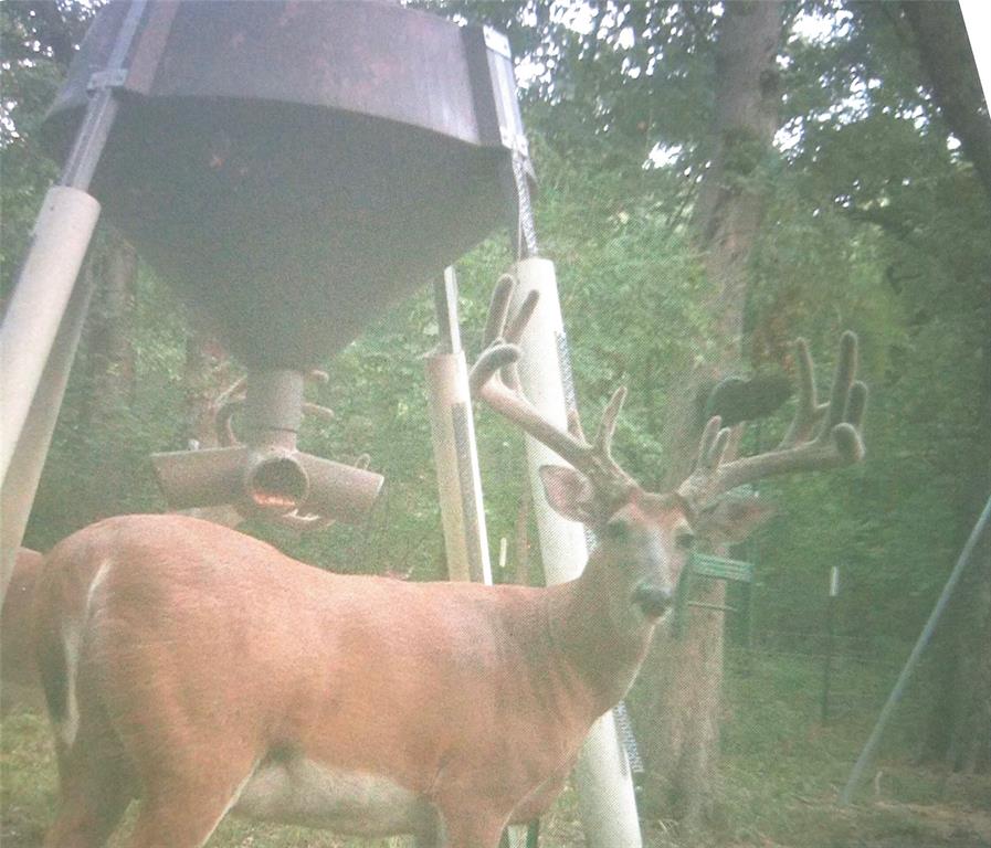 SLEE JOSEPH - Residential