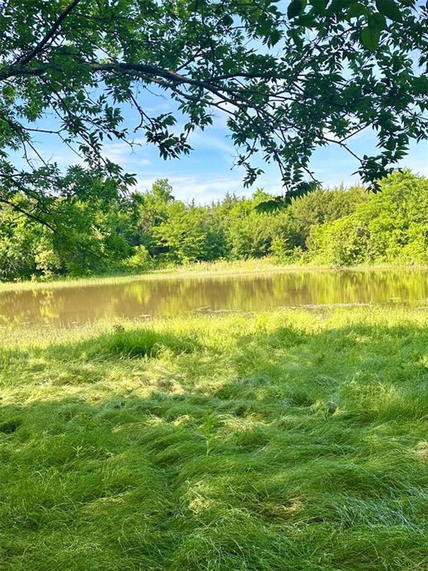 A once in a lifetime chance to acquire this land which has been family owned since the 1940's. Situated in a tranquil rural setting, yet within convenient reach of Blue Ridge's amenities and major thoroughfares, ensuring both peace and accessibility. The property's expansive acreage and favorable topography provide ample opportunities for agricultural pursuits, residential development, or recreational activities. The land boasts picturesque views and a serene environment, perfect for those seeking connection with nature or envisioning a private retreat. With the region's growth trajectory, this property presents a promising investment for future development or land appreciation. Whether you're envisioning a sprawling ranch, a secluded homestead, or a strategic investment, this 101.5-acre tract offers the canvas to bring your vision to life.