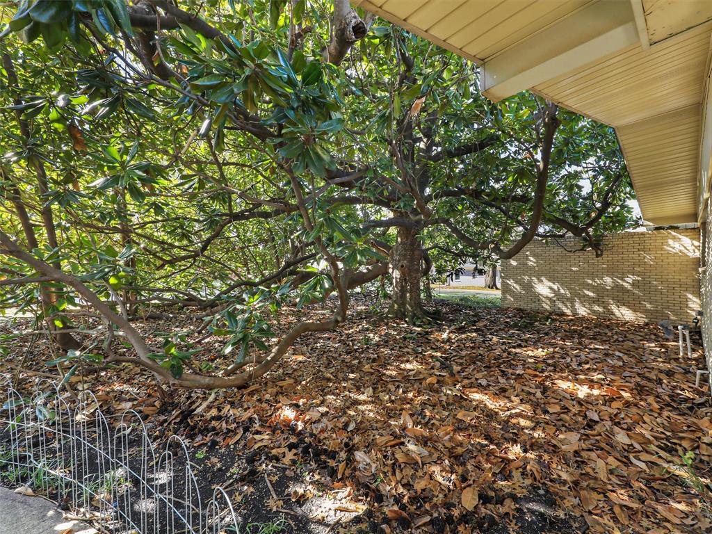 1102 N Graves Street