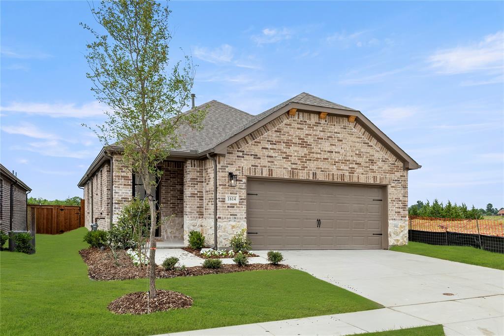 1614 Gracehill
