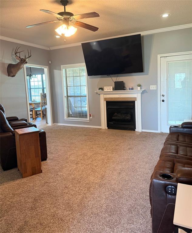 CHISUM ACRES - Residential