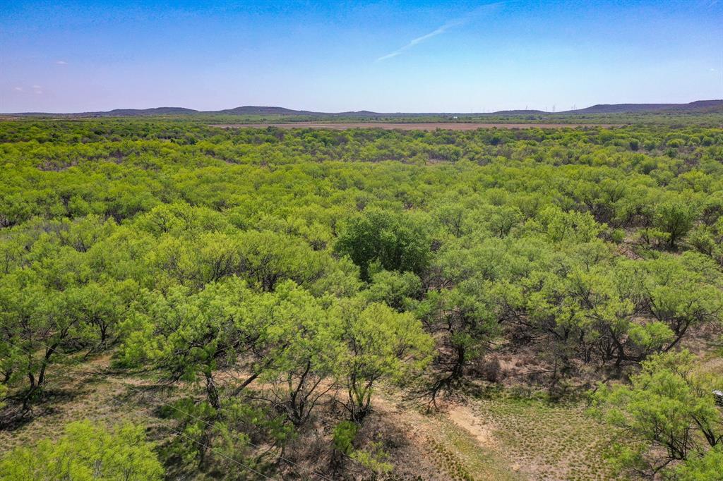 100 Acres FM 2950