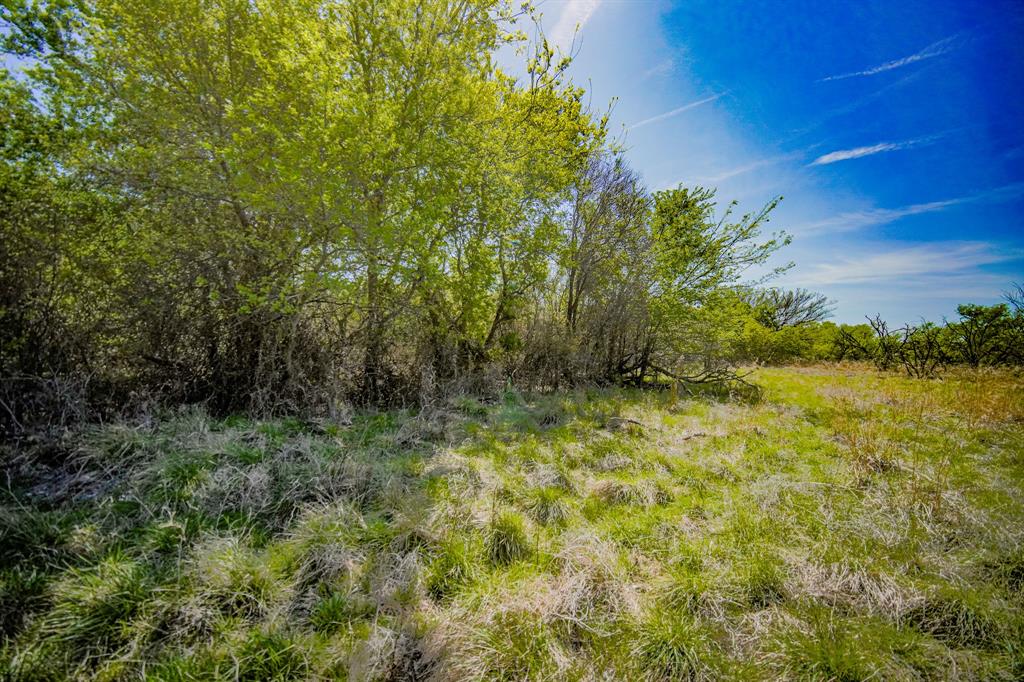 100 Acres FM 2950