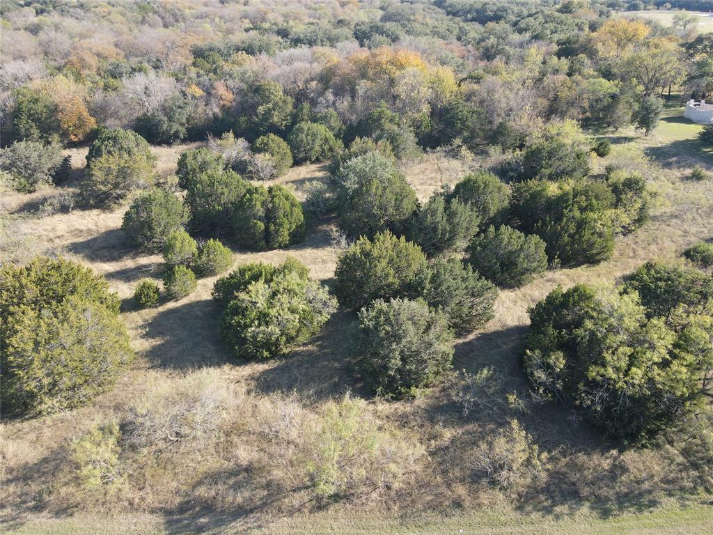 White Bluff #01 - Land