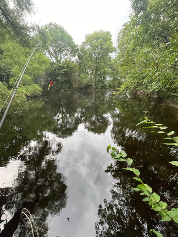 A1155 WM WOMACK, ACRES 5.256, LOT A - Land