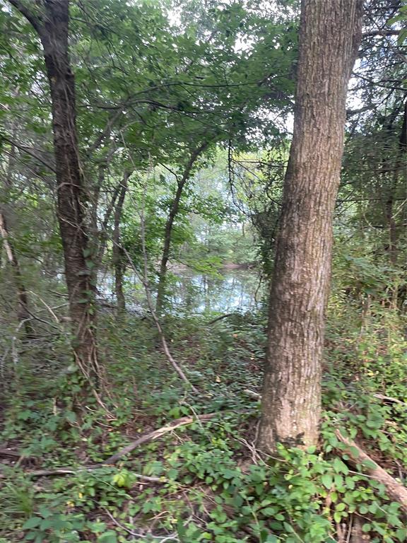 A1155 WM WOMACK, ACRES 5.256, LOT A - Land