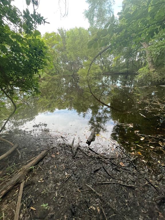 A1155 WM WOMACK, ACRES 5.256, LOT A - Land