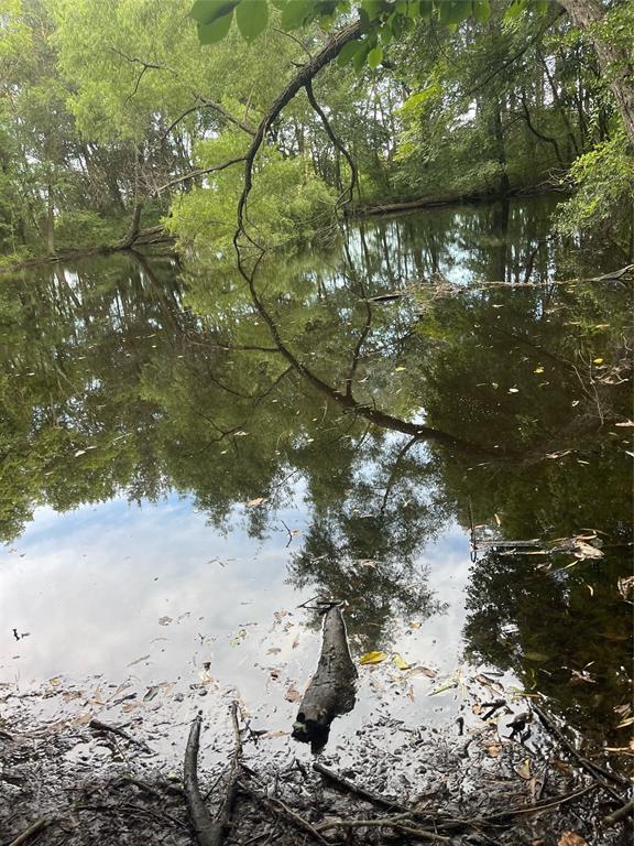 A1155 WM WOMACK, ACRES 5.256, LOT A - Land