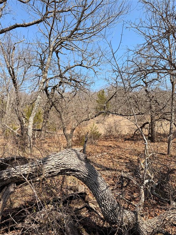 Silver Lakes Ranch - Land