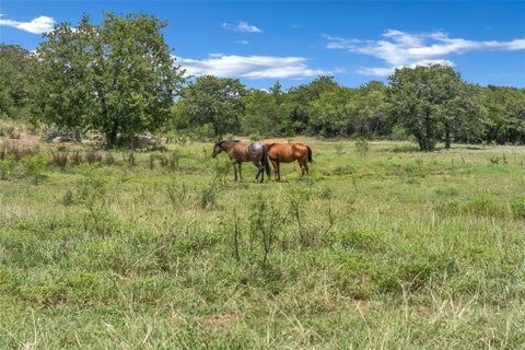 Tiny photo for 3911 N Highway 281, Mineral Wells, TX 76067 (MLS # 21341151)