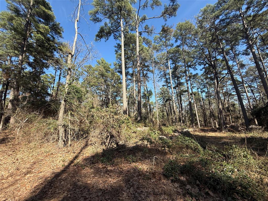 4D Country Estates - Land