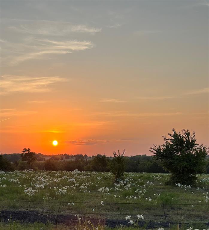 TBD Lot 1 County Road 703
