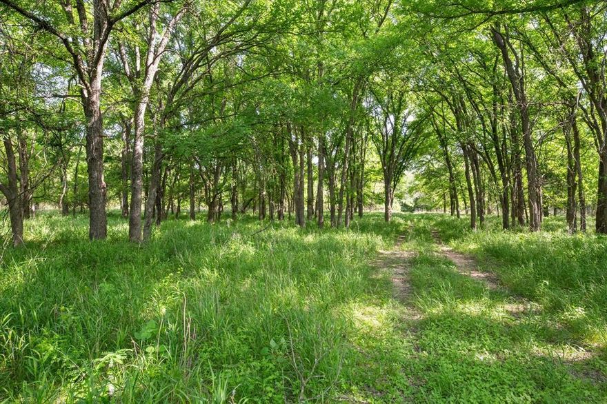Welcome to a rare opportunity in Bosque County-347.87 acres of diverse Texas land with approx. 7,000’ of Bosque River frontage. This beautiful ranch offers a mix of productive hay fields, open pasture, and wooded brushland ideal for livestock, recreation, or hunting.
The property includes:
50± acres of coastal hay field, 150± acres cleared pasture, and 150± acres of brush-pasture.
3 stocked ponds, 3 coastal fields with hydrants and water troughs.
Thousands of mature oak trees, and 2-3 creeks feeding into the river.
5 miles of dirt-caliche roads and 3 sets of working corrals.
Improvements:
2 water wells with well houses.
10x20 cedar-lined bunkhouse with water, electricity, bathroom, shower, and water heater.
Cook house with wood-burning stove, sink, and water heater.
Large bunkhouse with concrete floor and shower.
Open-face barn with water, electricity, and 2 side storage sheds.
Electrical hookups for RVs behind cook house.
John Deere cabbed tractor with full hay equipment package included.
This turn-key ranch offers excellent infrastructure for cattle or hay operation, plus great habitat for deer and turkey. Whether you’re looking for a working ranch, hunting retreat, or riverfront getaway, this property delivers.