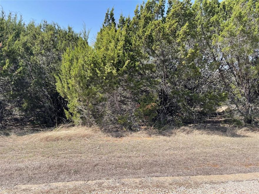 Come to beautiful Lake Whitney White Bluff Resort.   A little over an hour drive from DFW, but so well worth the trip.  Enjoy the beautiful drive to the area.  Golf membership, pro shop, dinner at Mulligans is a must, check out the tennis courts, pickle ball court, fitness center and don't forget the multiple pools.  Also, stop in to see the MARINA!   Boat slips are available, must inquire.   Group activities are always happening.  Just think about all this and to be able to sit on your porch and watch the many different types of wildlife surrounding your property!  

Wait.....Let's talk about this property!   The lot is very close to the golf course.  What more could you ask for.  Beautiful lot to build your forever home.

Gated entrance has an attendant 24 hours a day.  White Bluff has their own volunteer fire dept.  Nearly everything you need...all behind a secured gate.