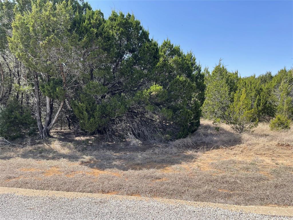 White Bluff #39 - Land