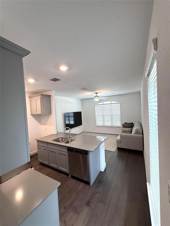 17305 Texas Pistache Drive