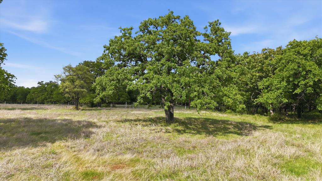 River Ranch - Land