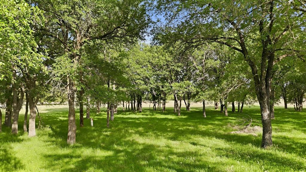 River Ranch - Land