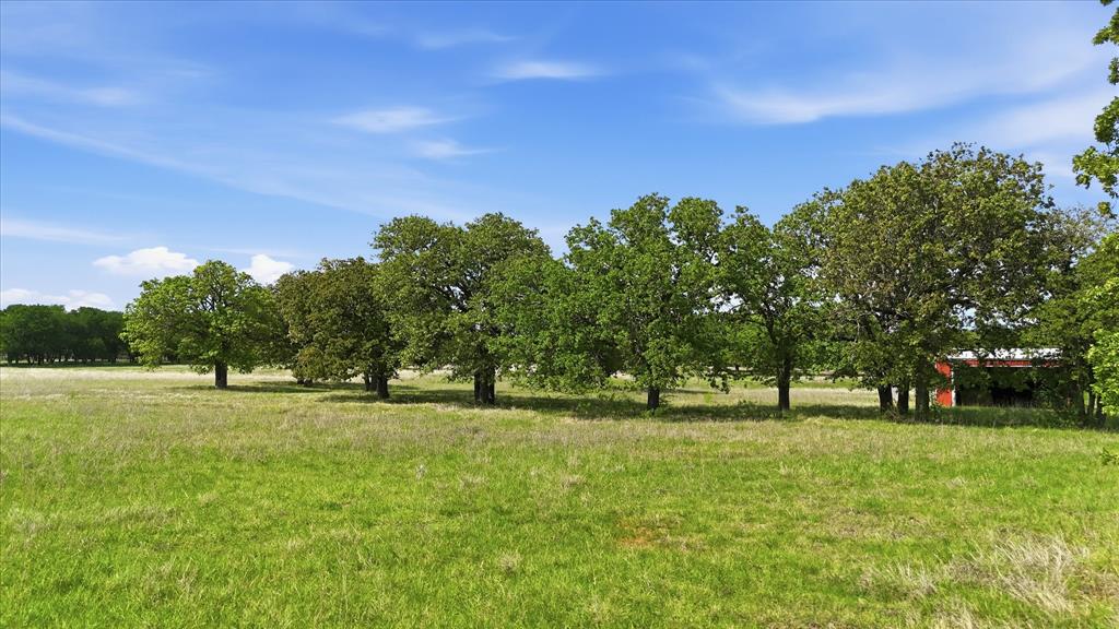 River Ranch - Land