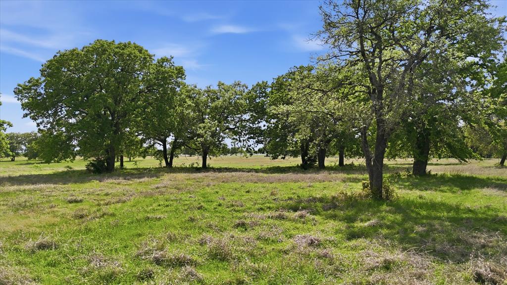 River Ranch - Land