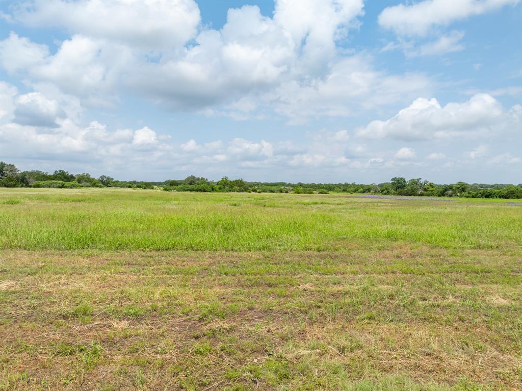 W Mauldin Surv Abs # 546 - Land