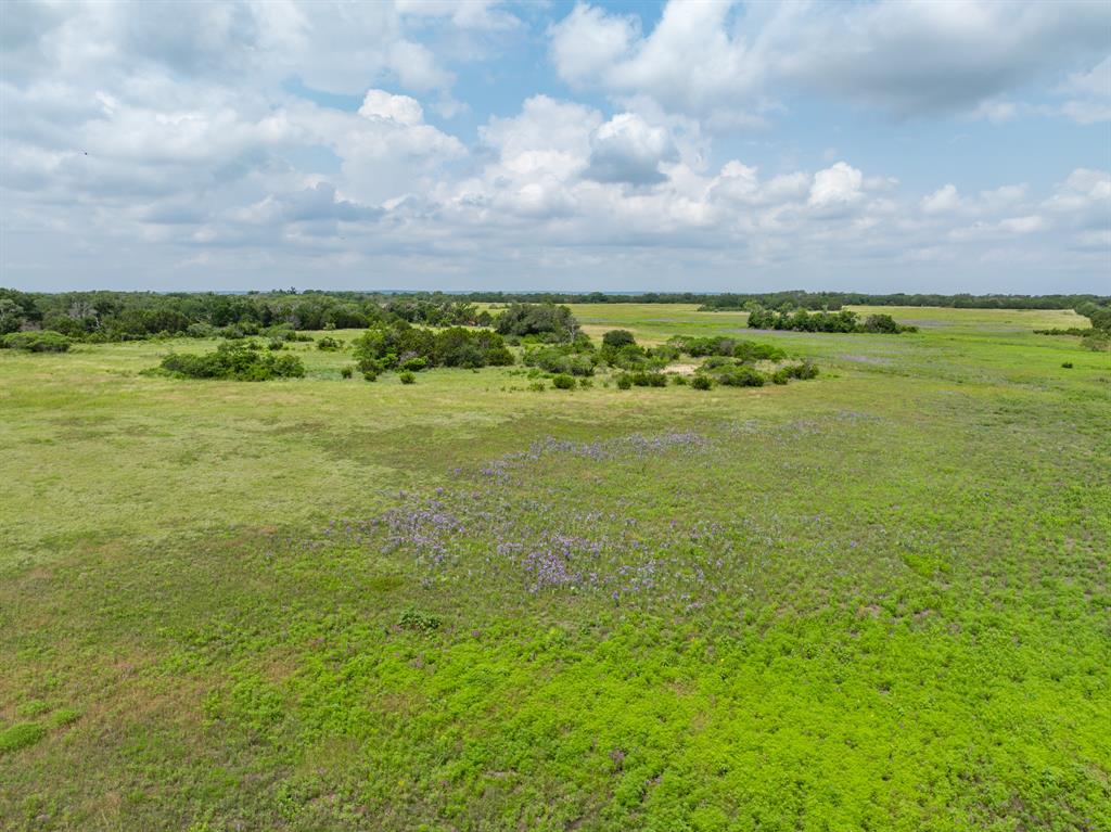 W Mauldin Surv Abs # 546 - Land