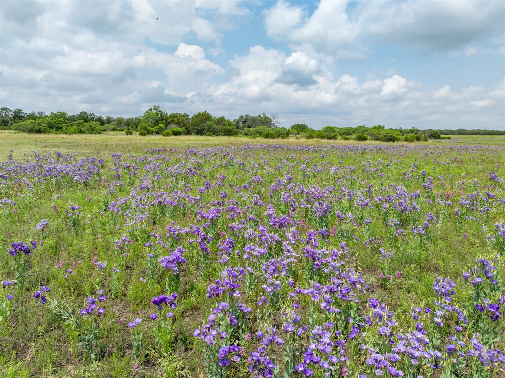 W Mauldin Surv Abs # 546 - Land