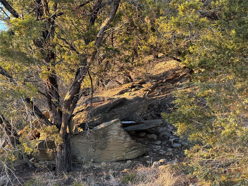 Hills Above Possum Kingdom Lake - Land