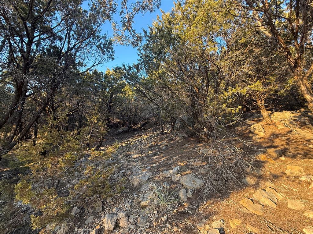 Hills Above Possum Kingdom Lake - Land