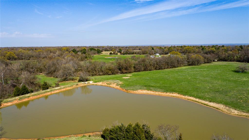 Forest Chapel - Farm