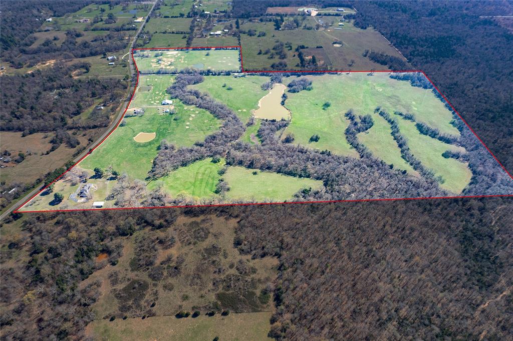 Forest Chapel - Farm