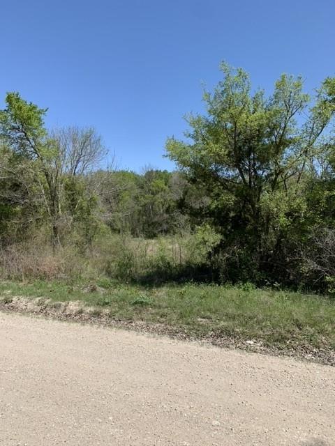 Tomas De La Vega - Land