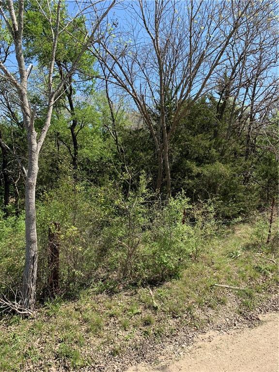 Tomas De La Vega - Land