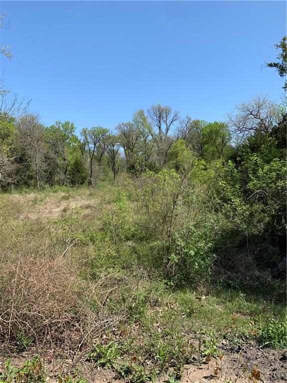 Tomas De La Vega - Land