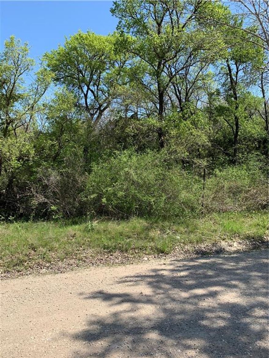 16.36 Acres in a hot location in Hallsburg ISD and only a few minutes to Waco. A quiet country setting and the possibilities are endless! Water meter is available, just needs to be moved. EOL is water company.