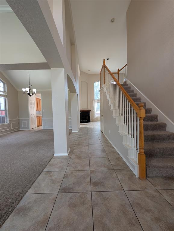 427 Rainforest Court