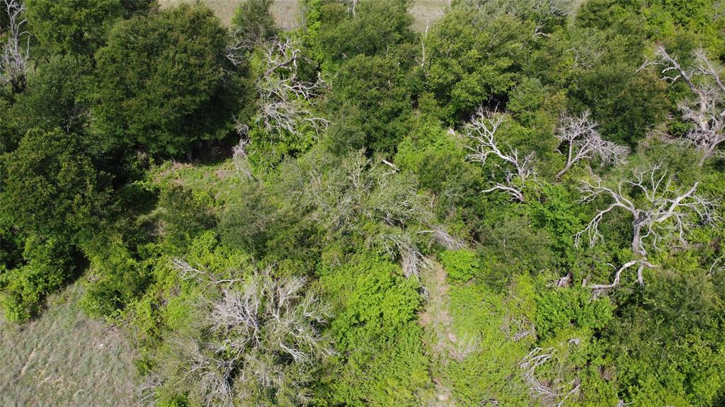 Ranche at Deer Crossing - Land