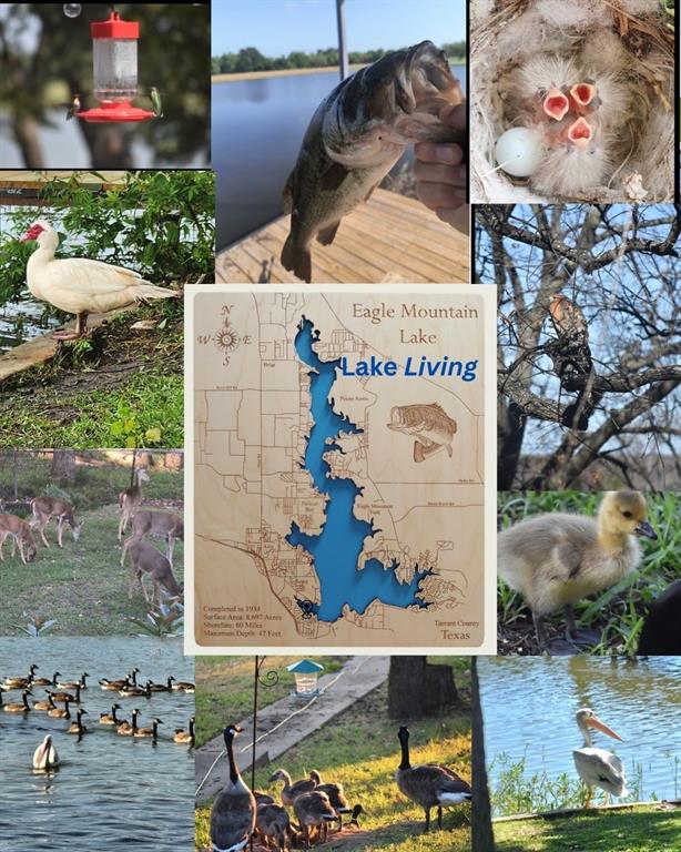 Castle Hills Northwest - Residential