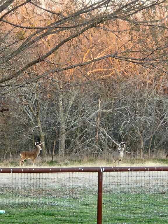 High Point Ranch Sec 2 - Land