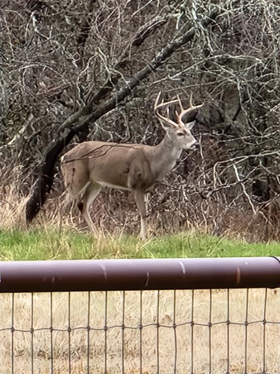 High Point Ranch Sec 2 - Land