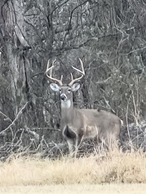 High Point Ranch Sec 2 - Land