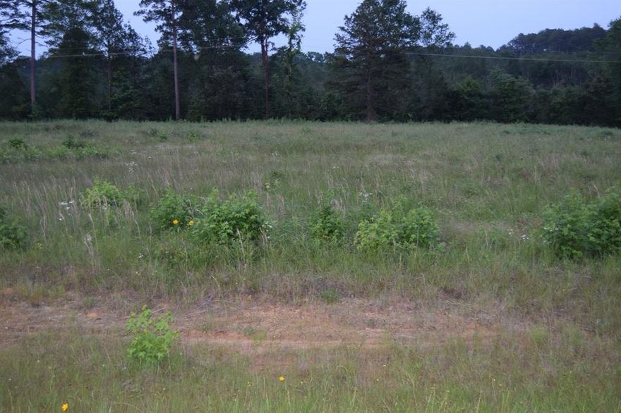 Nice level property only minute's to I-20
It shouldn't take much dirt work to make this property ready to build on.
The owners are maintaining minerals.
Will have to go to the planning commission prior to purchasing.
We have a survey of the property.