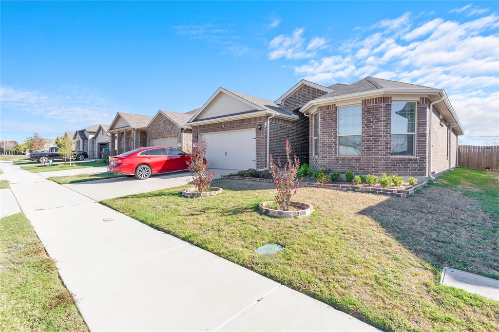 9714 Serviceberry